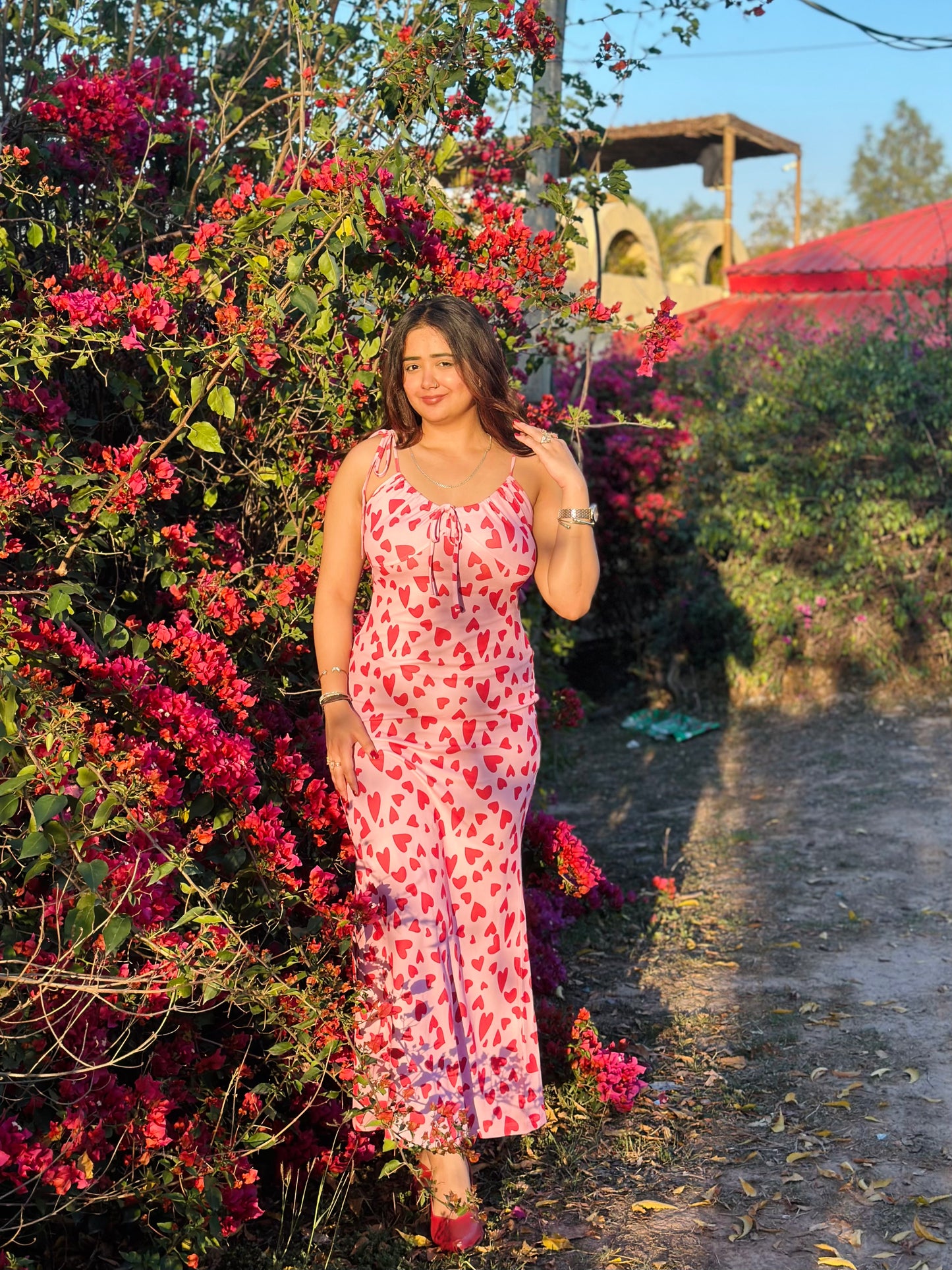 Women Bodycon Multicolor Dress